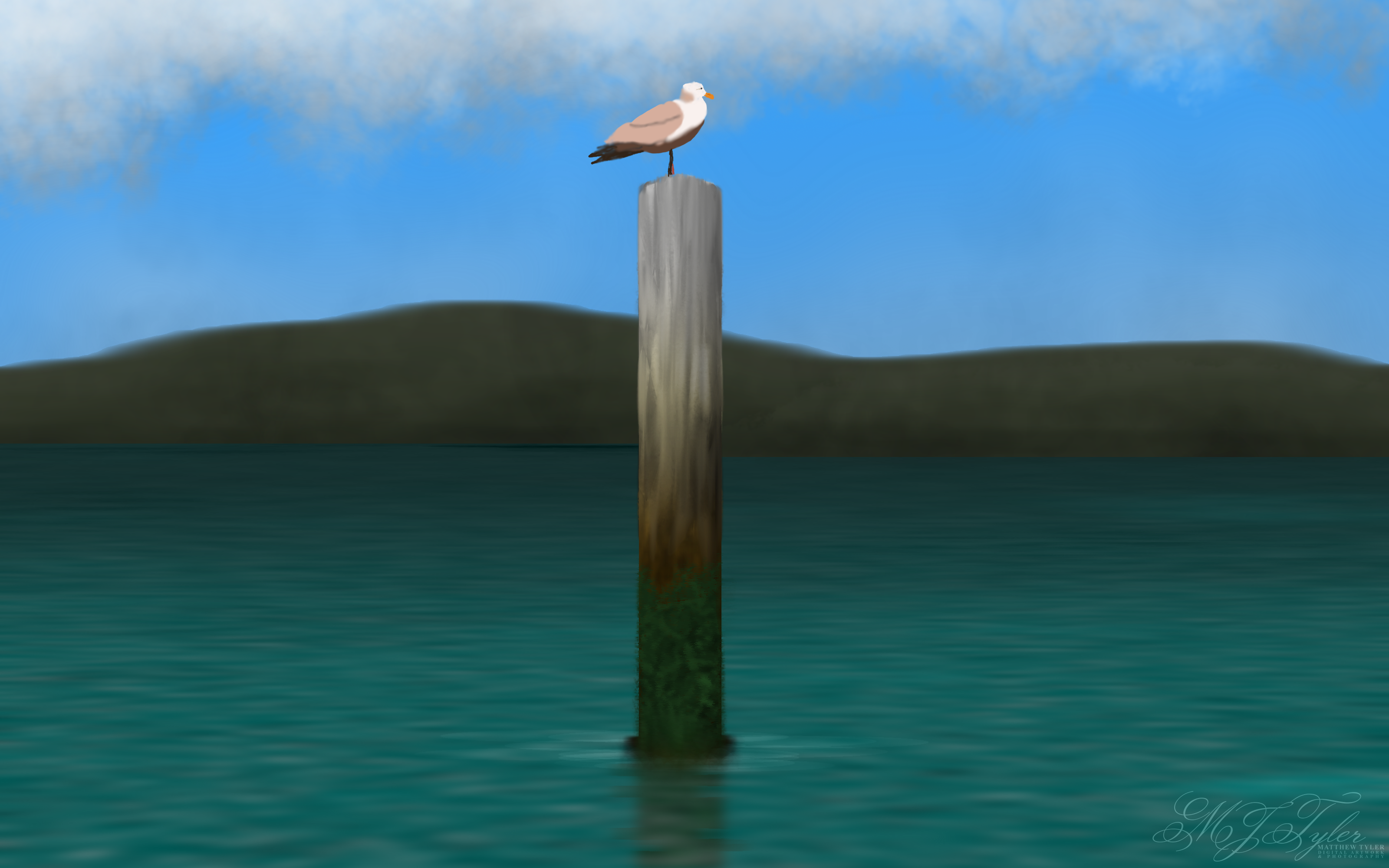 Mooring