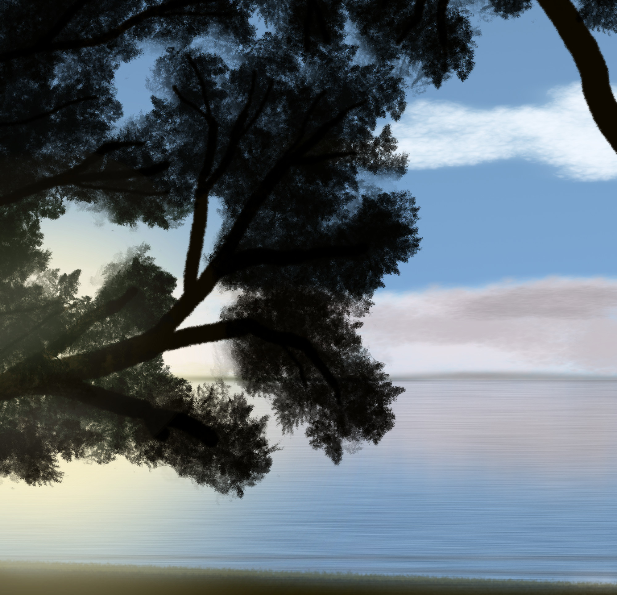 TreeShore3